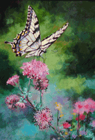 Butterfly On Pink Flower Painting